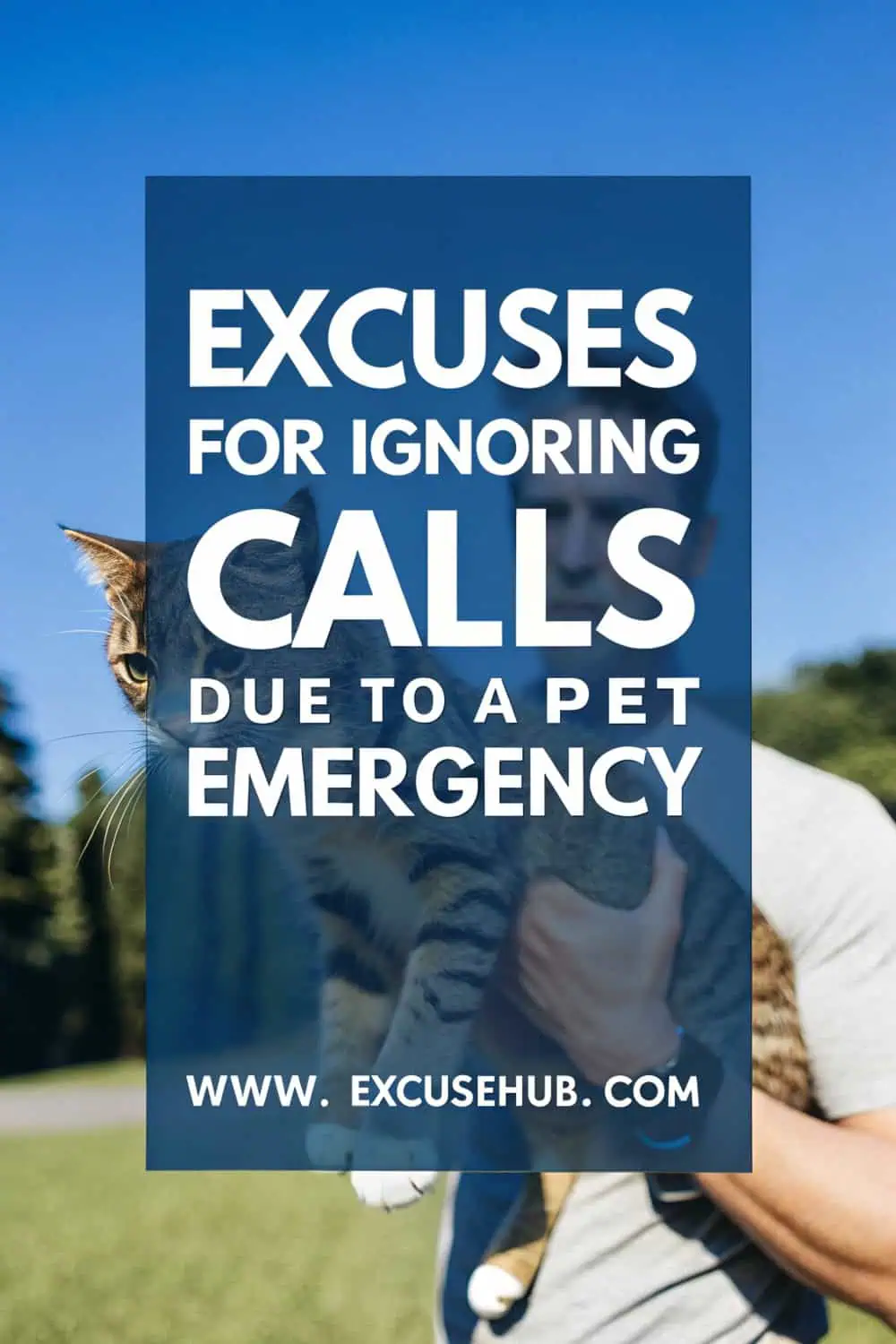 Illustration of a pet emergency excuse for ignoring calls
