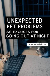 Unexpected Pet Problems as Excuses for Going Out at Night